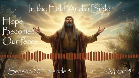 Micah's Promise to Bethlehem: Ancient Hope Becomes Our Peace