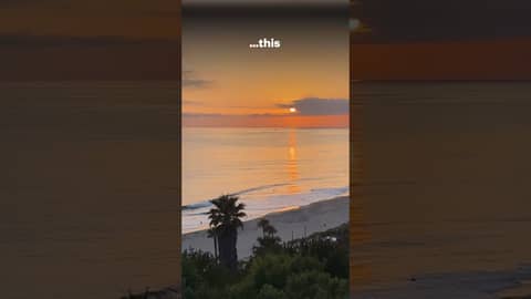 What Real Nervous System Support Looks Like