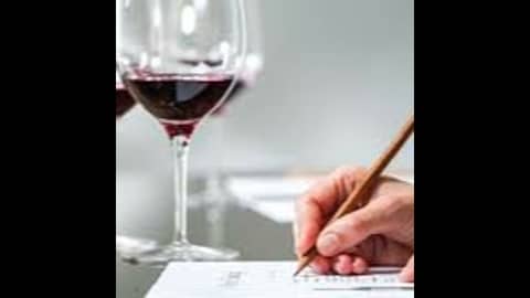 Episode 121-Wine Education, South Africa