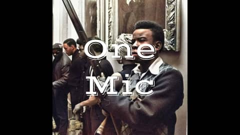 The Demise of The Black Panther Party The Demise of The Black Panther Party