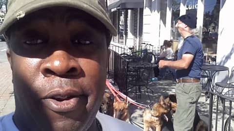 Jts chronicles : Help griffin dogs