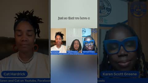 Preserving the Right to Vote for Future Generations with Political Consultant, Phyllis Richardson.