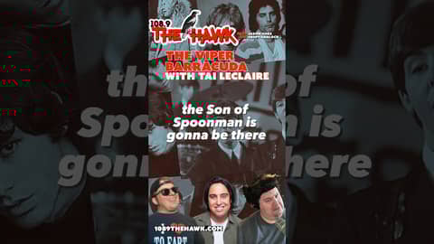 Son of Spoonman #soundgarden #classicrock #hawk