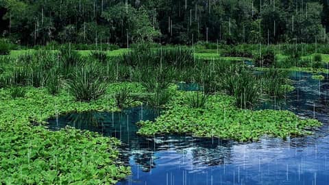 Water & Rain Noise for the BEST Sleep!