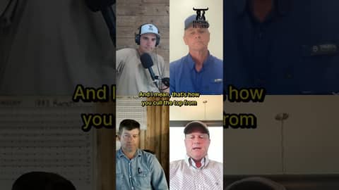 Episode 247 on Bull Development and Evaluation with Tyson Pharo, Rob Pierce and Brian Munger