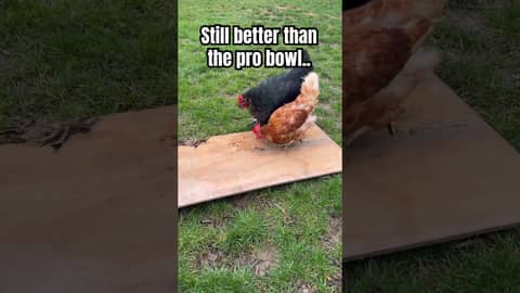 More entertaining than Micah Parsons at the NFL Pro Bowl. #nfl