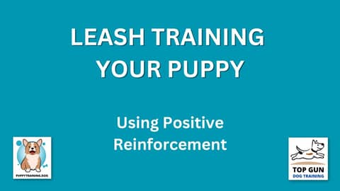 Part 15 - Using Positive Reinforcement