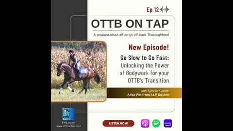 Ep.12 -- Go Slow To Go Fast: Unlocking The Power of Bodywork for your OTTBs Transition w/Alisa Pitt