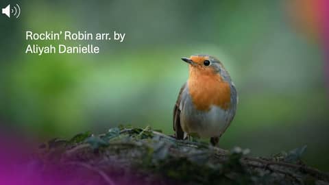 Rockin' Robin arr. by Aliyah Danielle