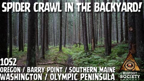 Spider Crawl Bigfoot in the Backyard! | Maine | Bigfoot Society 1052 Spider Crawl Bigfoot in the Backyard! | Maine | Bigfoot Society 1052