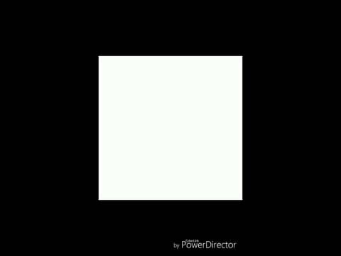 HIGH PROTEIN FOR FAT LOSS???