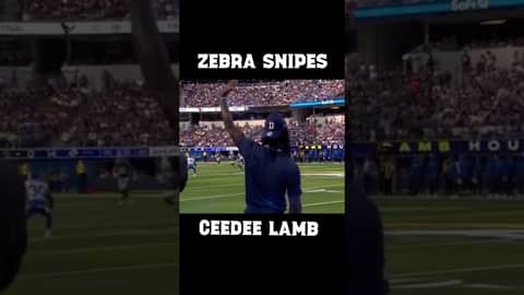 CeeDee Lamb gets Wrecked by Ref.