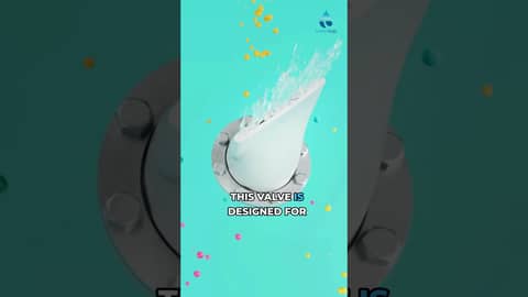 How This Valve Keeps Your Drinking Water Safe