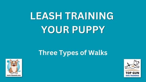 Part 6 - Three Types of Walks