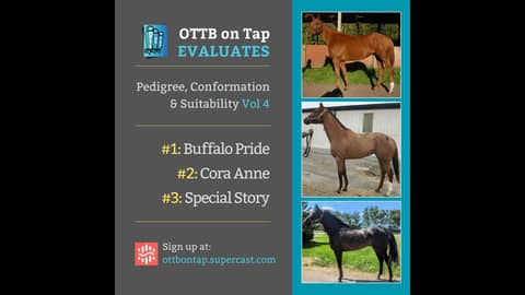 Sneak Peek: OTTB on Tap Evaluates Vol. 4: From Lightly Raced to Warhorses—Exploring Pedigree & Po... Sneak Peek: OTTB on Tap Evaluates Vol. 4: From Lightly Raced to Warhorses—Exploring Pedigree & Po...