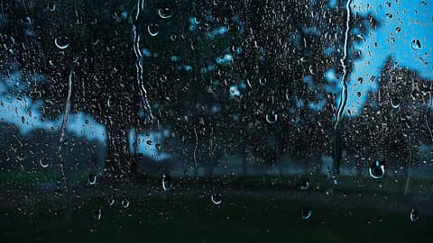 Rain Sounds for Sleeping | Rain on Window Ambience Helps You Relax | Fall Asleep Fast!