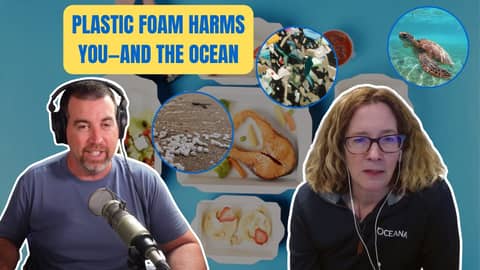 Plastic Pollution in the Ocean: Why It’s Time to Ban Styrofoam for Good Plastic Pollution in the Ocean: Why It’s Time to Ban Styrofoam for Good
