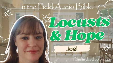 What the Locusts Ate