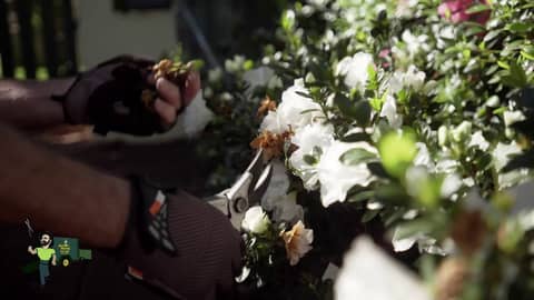 Meet Gareth from Jim's Mowing Victoria Park, WA | 131 546 | www.jims.net | Meet Gareth from Jim's Mowing Victoria Park, WA | 131 546 | www.jims.net |