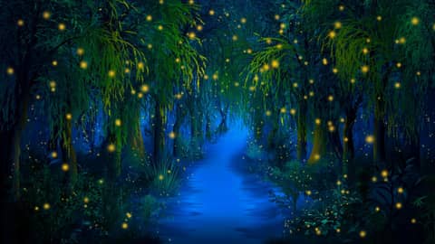 Relaxing White Noise Sounds for Sleeping All Night