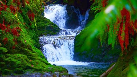 Waterfall White Noise for Sleep, Studying, Focus | Water Sounds 10 Hours