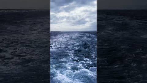 Sit Back and Relax in Amazing Boat Ride! Sit Back and Relax in Amazing Boat Ride!