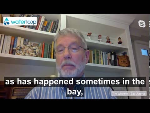 waterloop drops: Blue Crab Population in Chesapeake Bay Currently Sustainable