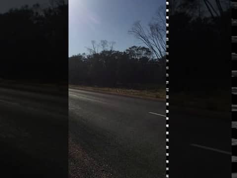 Roadside Haiku’s with Matt Fiction Episode II - We’ll have a bat thanks. Roadside Haiku’s with Matt Fiction Episode II - We’ll have a bat thanks.