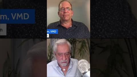 Toxins, diet, and the root of skin and ear issues