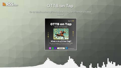 Ep. 13: What's a price tag? The value of buying an OTTB from a trusted reseller