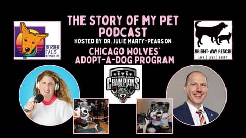 How the Chicago Wolves Hockey Team Has Helped Nearly 2,000 Dogs Find Homes