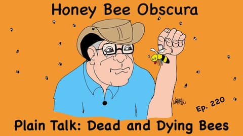 Plain Talk: Dead and Dying Bees (220)