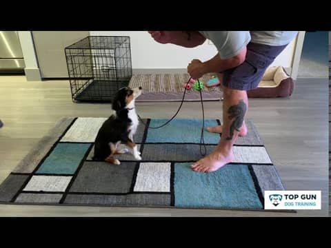 Dixie Learns Watch Me