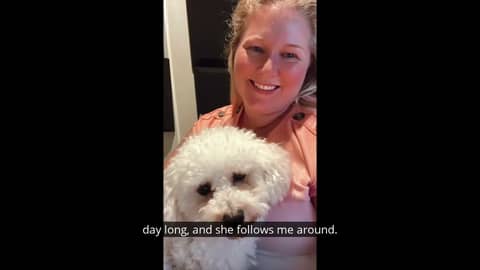 Rachel is the LAST person who should own a dog!: Due to Underwhelming Demand Ep 20