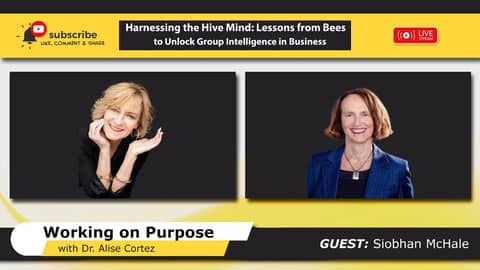 Harnessing the Hive Mind: Lessons from Bees to Unlock Group Intelligence in Business