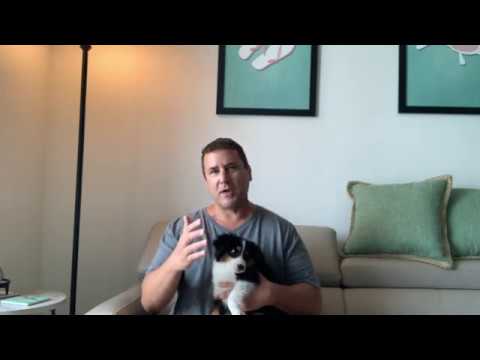 Dixie 16 Weeks Old Update