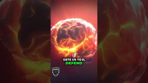 The Signal vs Noise Problem Nobody Talks About #cognitivehalth #productivity #focus The Signal vs Noise Problem Nobody Talks About #cognitivehalth #productivity #focus