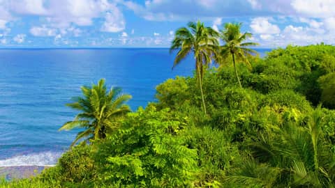 Pure Relaxation! Ocean Sounds in Hawaii 🌊 White Noise for Sleeping, Studying or Stress Relief