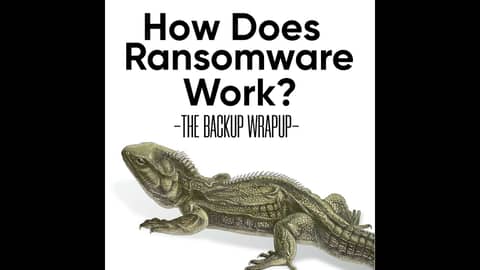 How Ransomware Works: The Five Objectives of Every Attack How Ransomware Works: The Five Objectives of Every Attack