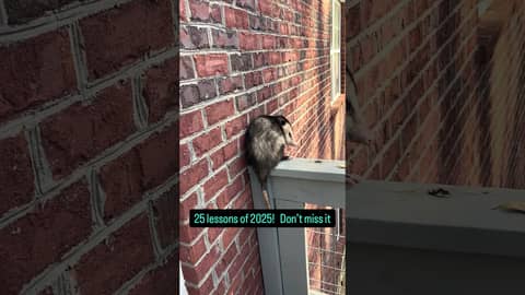 this weeks episode is about 25 lessons of 2025 #weeklywealthpodcast #beyondwealth #generationwealth