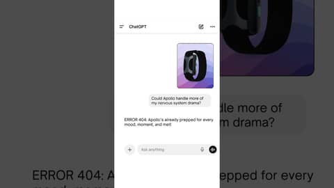 Vibes? Maxed. Vibes? Maxed.