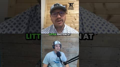 Episode 252 with Karson Rippstein  #ranch #cattle #ranchmanagement #cattleranch #business