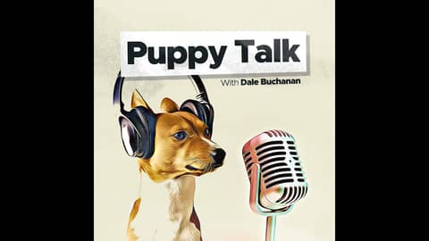 Setting Rules and Boundaries for Your Puppy