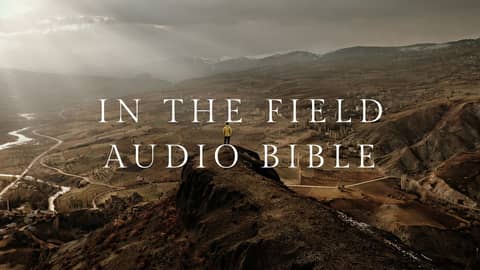 In the Field Audio Bible Live Stream