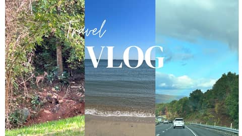 Travel Vlog To VIRGINIA Travel Vlog To VIRGINIA