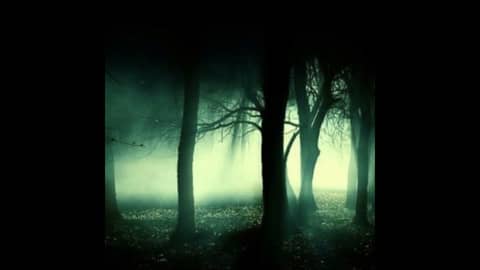 Beyond the Dark Paranormal with Don and Kelly Johnson