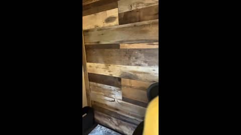 THRIVEHOOD Podcast - New Episode Drops June 5th