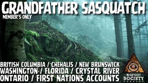 The White Sasquatch of Chilliwack River Valley | Members Only Episode A26 PREVIEW