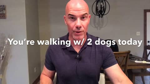 Feed the dog (Listen to this when things aren’t working)