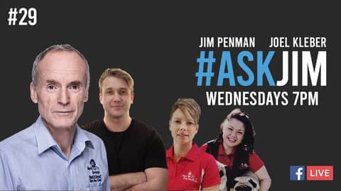 #ASKJIM Episode 29 with Jim Penman, Kathryn Burns and Rachel Mounter from Jim's Dog Wash
